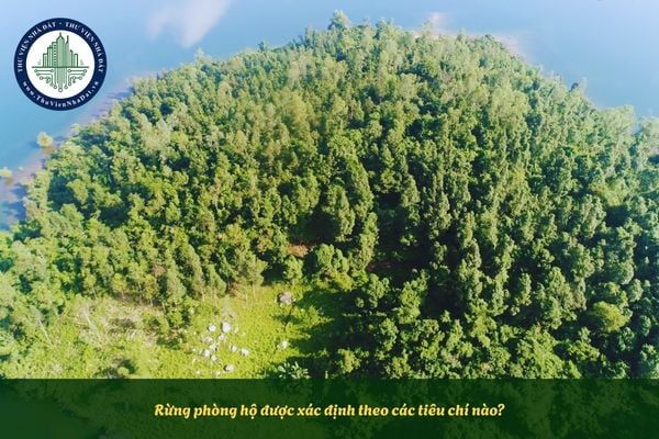 Rừng phòng hộ được xác định theo các tiêu chí nào?