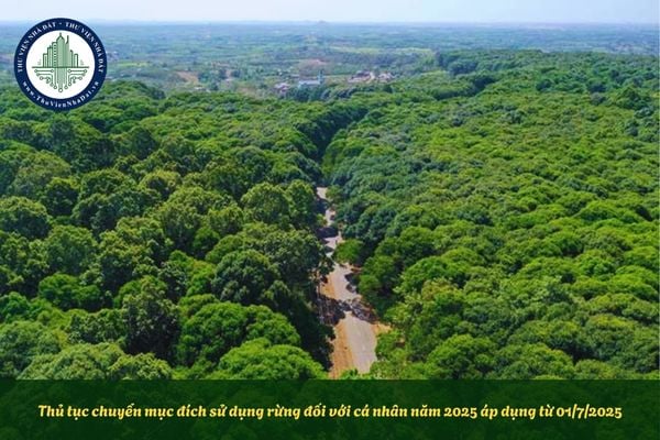 Thủ tục chuyển mục đích sử dụng rừng đối với cá nhân năm 2025 áp dụng từ 01/7/2025