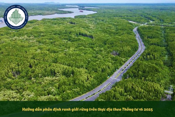 Hướng dẫn phân định ranh giới rừng trên thực địa theo Thông tư 16 2025