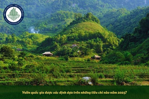 Vườn quốc gia được xác định dựa trên những tiêu chí nào năm 2025?