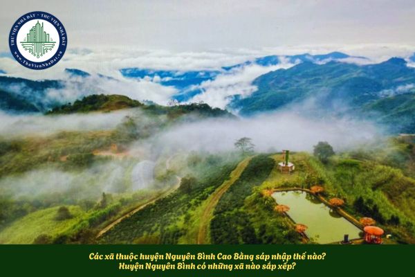 Các xã thuộc huyện Nguyên Bình Cao Bằng sáp nhập thế nào? Huyện Nguyên Bình có những xã nào sắp xếp?