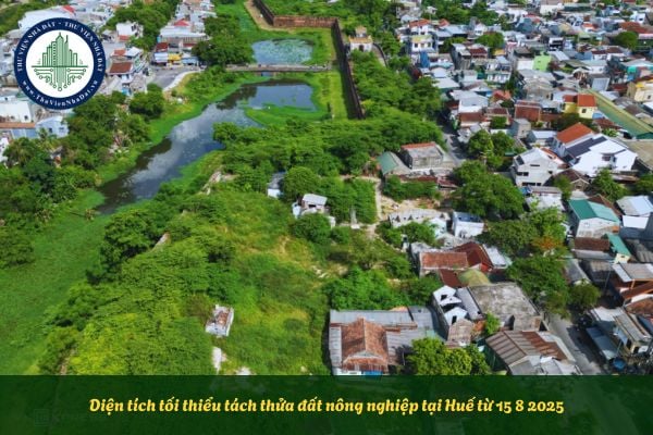 Diện tích tối thiểu tách thửa đất nông nghiệp tại Huế từ 5 8 2025