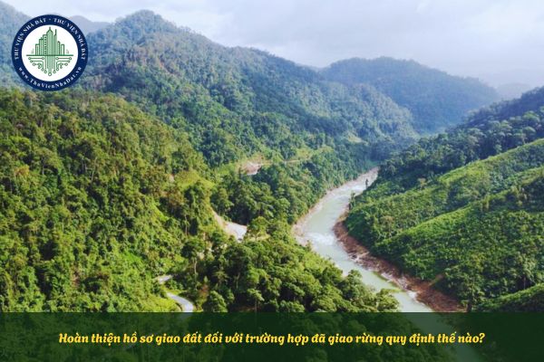 Hoàn thiện hồ sơ giao đất đối với trường hợp đã giao rừng quy định thế nào?