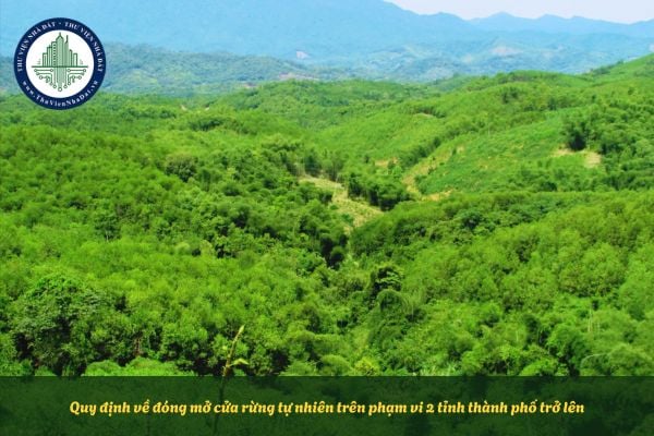 Quy định về đóng mở cửa rừng tự nhiên trên phạm vi 2 tỉnh thành phố trở lên