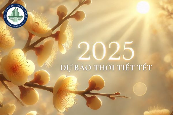 Thời tiết Tết Âm lịch năm 2025 cả 3 miền? Thời tiết Tết 2025 ra sao? Dự báo thời tiết Tết Nguyên đán 2025