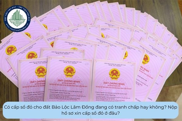Có cấp sổ đỏ cho đất Bảo Lộc Lâm Đồng đang có tranh chấp hay không? Nộp hồ sơ xin cấp sổ đỏ ở đâu?