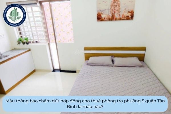 Mẫu thông báo chấm dứt hợp đồng cho thuê phòng trọ phường 5 quận Tân Bình là mẫu nào?