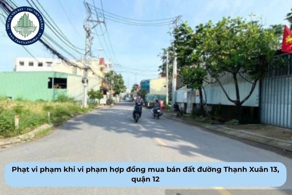 thuviennhadat.vn