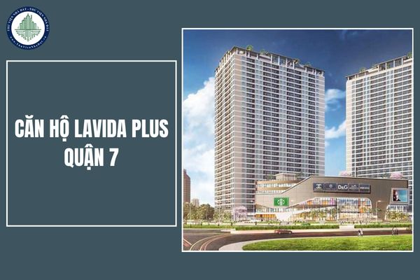 Căn hộ Lavida Plus Quận 7 cho thuê bao nhiêu 1 tháng? Giá bán căn hộ Lavida Plus Quận 7 như thế nào?