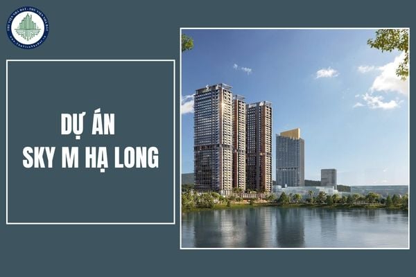 Tổng quan dự án Sky M Hạ Long: Mặt bằng, tiện ích và sản phẩm như thế nào?