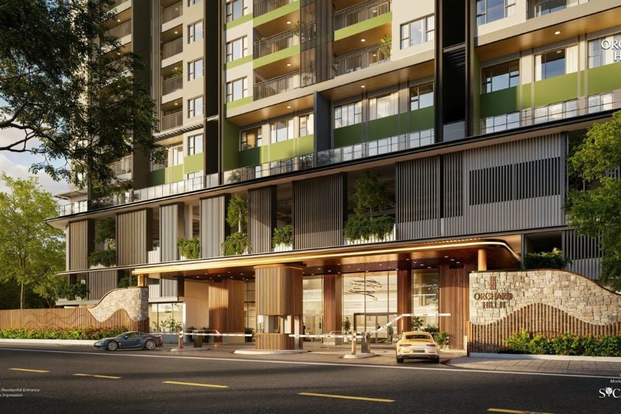 Orchard Hill - Sycamore