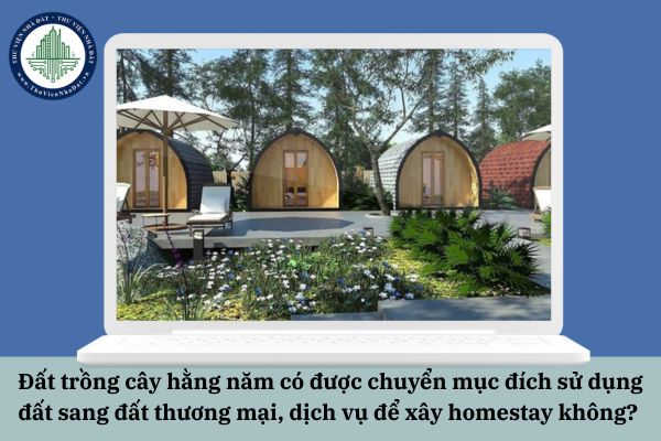 Đất trồng cây hằng năm có được chuyển mục đích sử dụng đất sang đất thương mại, dịch vụ để xây homestay không? 
