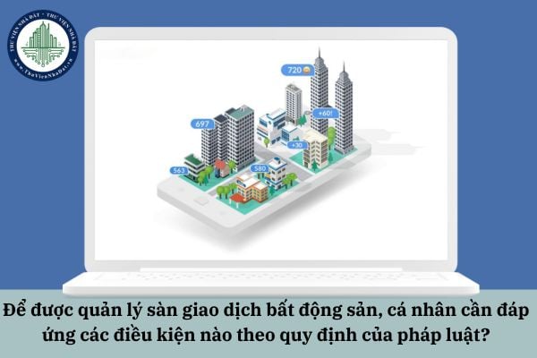 Để được quản lý sàn giao dịch bất động sản, cá nhân cần đáp ứng các điều kiện nào theo quy định của pháp luật?