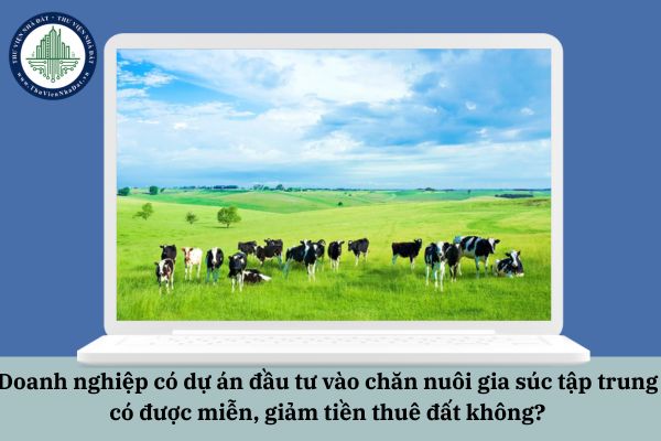 Doanh nghiệp có dự án đầu tư vào chăn nuôi gia súc tập trung có được miễn, giảm tiền thuê đất không?