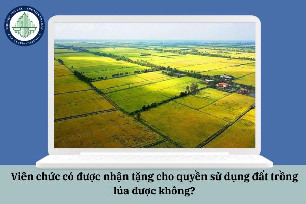 Viên chức có được nhận tặng cho quyền sử dụng đất trồng lúa được không?