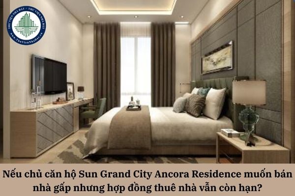 Nếu chủ căn hộ Sun Grand City Ancora Residence muốn bán nhà gấp nhưng hợp đồng thuê nhà vẫn còn hạn thì giải quyết ra sao?