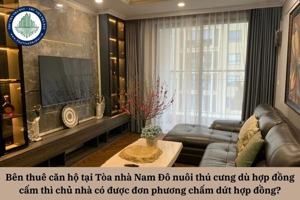 Bên thuê căn hộ tại Tòa nhà Nam Đô nuôi thú cưng dù hợp đồng cấm thì chủ nhà có được quyền đơn phương chấm dứt hợp đồng?