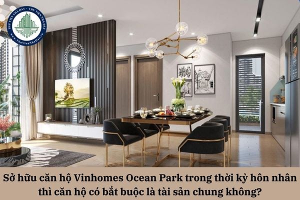 Sở hữu căn hộ Vinhomes Ocean Park trong thời kỳ hôn nhân thì căn hộ có bắt buộc là tài sản chung không?
