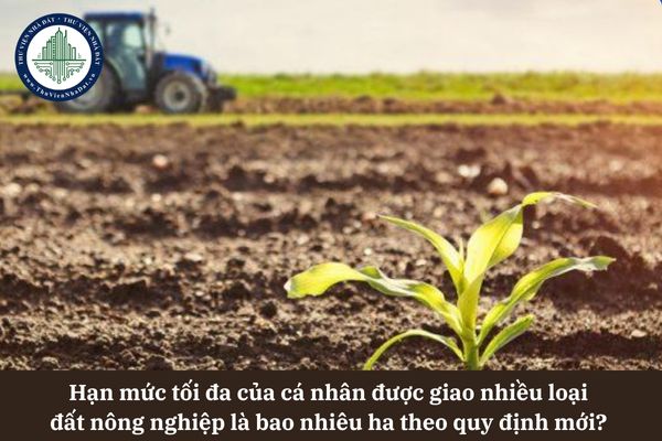 Hạn mức tối đa của cá nhân được giao nhiều loại đất nông nghiệp là bao nhiêu ha theo quy định mới? 