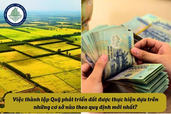 Việc thành lập Quỹ phát triển đất được thực hiện dựa trên những cơ sở nào theo quy định mới nhất?