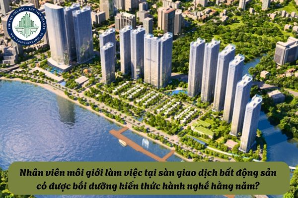 Nhân viên môi giới làm việc tại sàn giao dịch bất động sản có được bồi dưỡng kiến thức hành nghề hằng năm? 