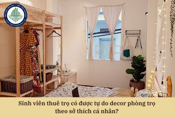 Tự do decor phòng trọ