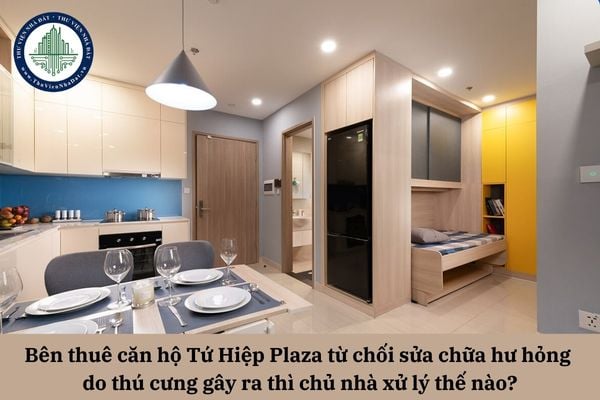 Bên thuê căn hộ Tứ Hiệp Plaza không chấp nhận sửa chữa khi thú cưng của mình gây hư hỏng thì chủ nhà giải quyết ra sao?