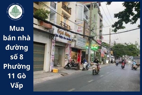 Các bên mua bán nhà đường số 8 Phường 11 Gò Vấp được thỏa thuận các nội dung nào?