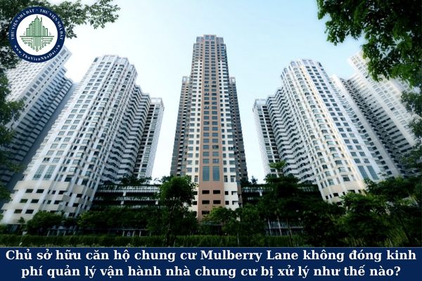 Chủ sở hữu căn hộ chung cư Mulberry Lane không đóng kinh phí quản lý vận hành nhà chung cư bị xử lý như thế nào?