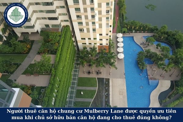 Người thuê căn hộ chung cư Mulberry Lane được quyền ưu tiên mua khi chủ sở hữu bán căn hộ đang cho thuê đúng không?