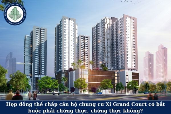 Hợp đồng thế chấp căn hộ chung cư Xi Grand Court có bắt buộc phải chứng thực, chứng thực không?