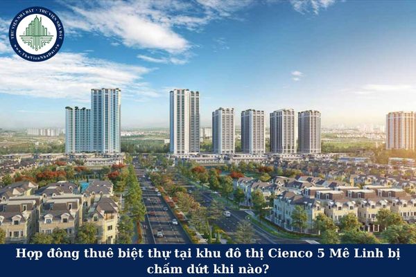 Hợp đông thuê biệt thự tại khu đô thị Cienco 5 Mê Linh bị chấm dứt khi nào?