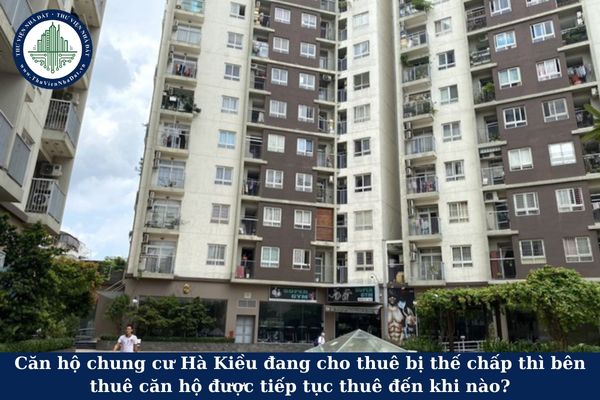 Căn hộ chung cư Hà Kiều đang cho thuê bị thế chấp thì bên thuê căn hộ được tiếp tục thuê đến khi nào?
