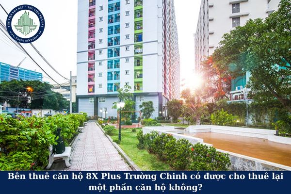 Bên thuê căn hộ 8X Plus Trường Chinh có được cho thuê lại một phần căn hộ không?