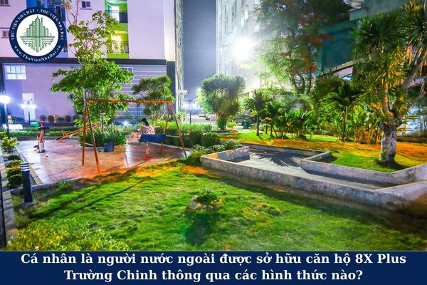 Cá nhân là người nước ngoài được sở hữu căn hộ 8X Plus Trường Chinh thông qua các hình thức nào?