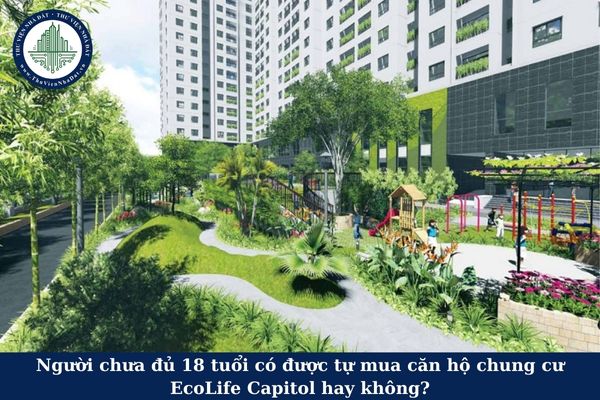 Người chưa đủ 18 tuổi có được tự mua căn hộ chung cư EcoLife Capitol hay không?