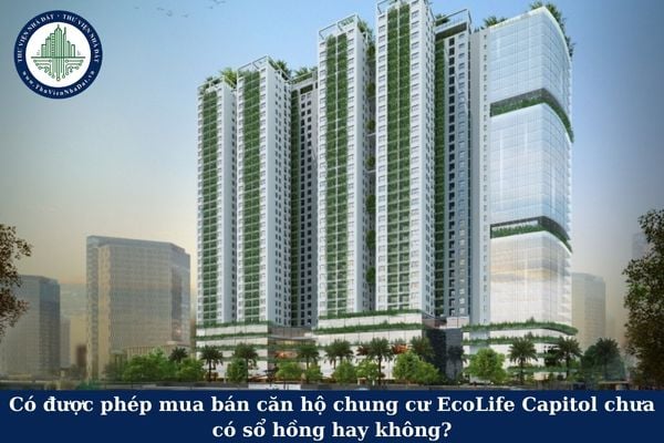 Có được phép mua bán căn hộ chung cư EcoLife Capitol chưa có sổ hồng hay không?