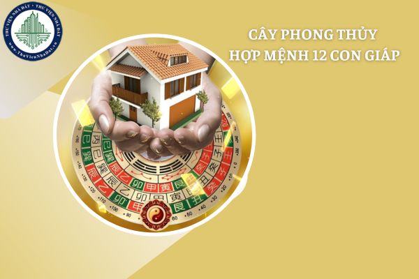 Hướng dẫn chọn cây phong thủy hợp mệnh với 12 con giáp