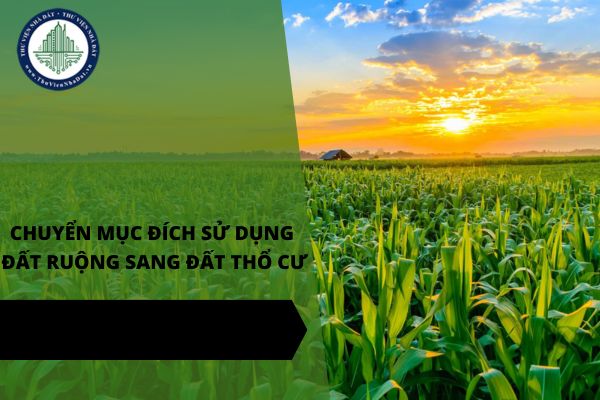 Hướng dẫn viết đơn xin chuyển mục đích sử dụng đất từ đất ruộng sang đất thổ cư mới nhất năm 2025