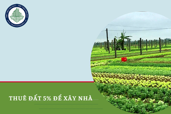 Có được thuê đất 5% để xây nhà ở không?