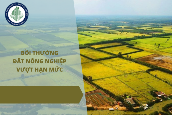 Nhà nước thu hồi đất nông nghiệp vượt hạn mức do nhận chuyển quyền của cá nhân có được bồi thường không?