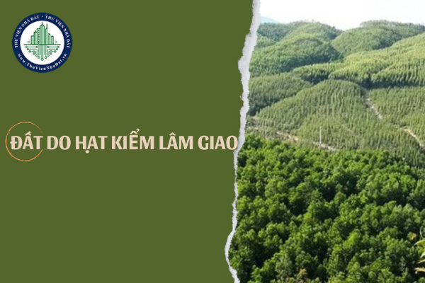 Đất do Hạt Kiểm lâm giao cho cá nhân vào năm 1989, bây giờ có được cấp Giấy chứng nhận quyền sử dụng đất, quyền sở hữu tài sản gắn liền với đất không?