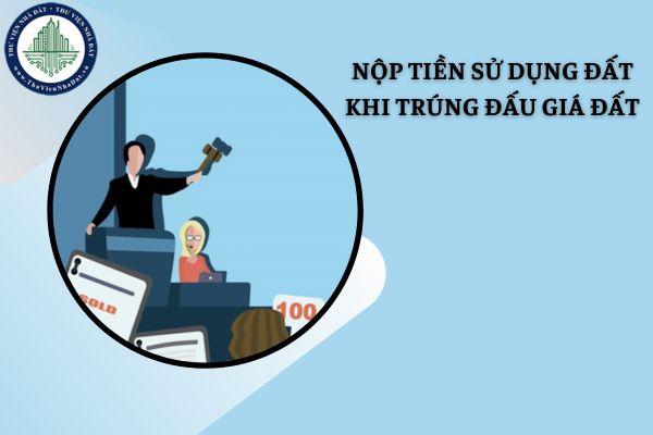 Không nộp tiền sử dụng đất đúng hạn khi trúng đấu giá đất có bị xử phạt không?