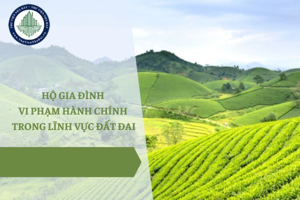 Năm 2025, áp dụng mức phạt của cá nhân hay tổ chức khi hộ gia đình vi phạm hành chính trong lĩnh vực đất đai?