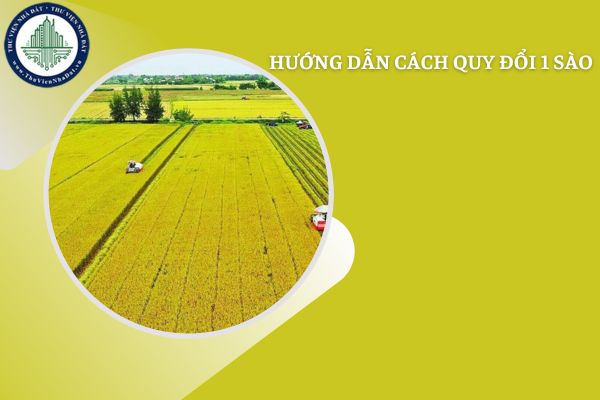 Hướng dẫn cách quy đổi 1 sào bằng bao nhiêu mét vuông chuẩn 3 miền