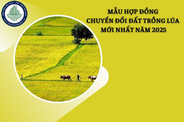 Mẫu hợp đồng chuyển đổi đất trồng lúa mới nhất năm 2025