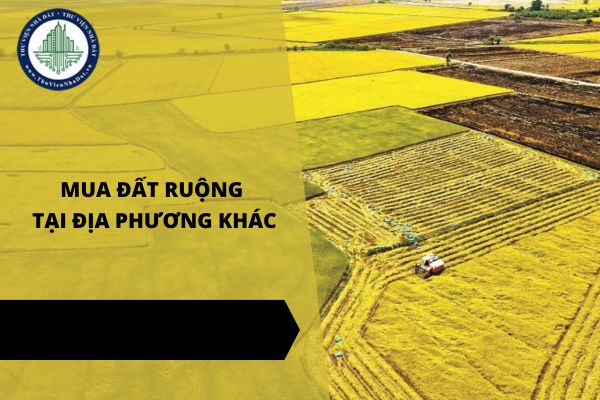 Năm 2025, mua đất ruộng khi có hộ khẩu thường trú ở địa phương khác được không?