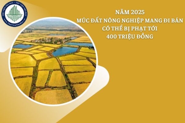 Năm 2025, hành vi tự ý múc đất nông nghiệp mang đi bán có thể bị xử phạt đến 400 triệu đồng?