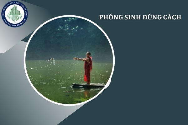 Những sai lầm khi phóng sanh Rằm tháng Giêng và cách phóng sanh đúng để tránh tạo nghiệp