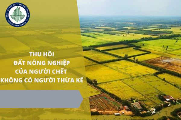 Năm 2025, đất nông nghiệp của người chết không có người thừa kế có bị Nhà nước thu hồi không?